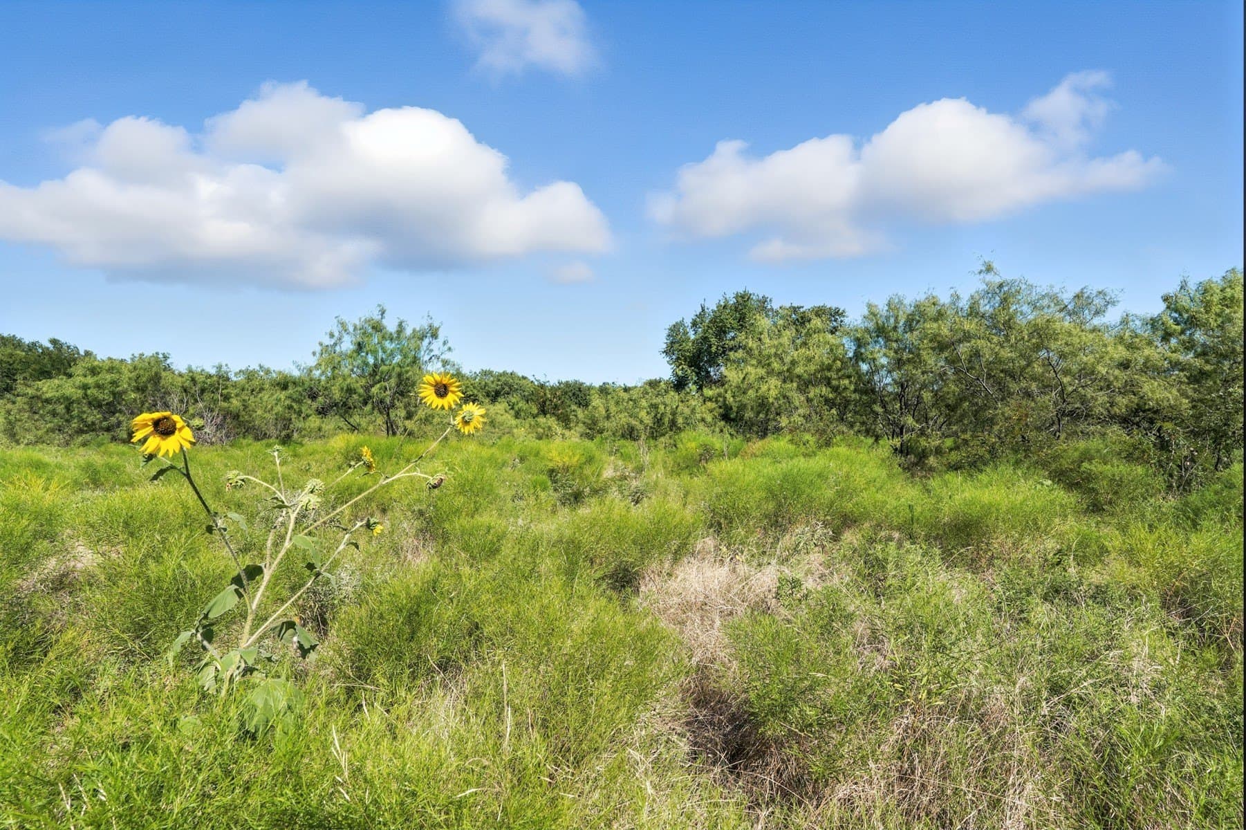 37.5 acres in Johnson County - photo 34