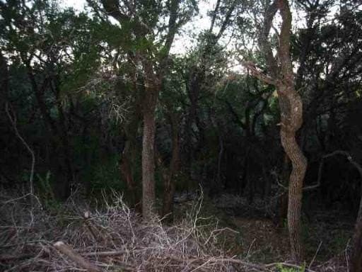 2.5 acres in Medina County - photo 9