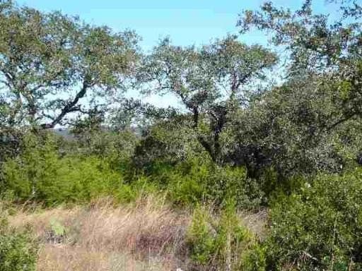 2.5 acres in Medina County - photo 6