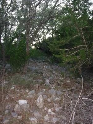 2.5 acres in Medina County - photo 11
