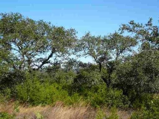 2.5 acres in Medina County gallery image 4