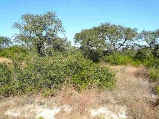 2.5 acres in Medina County - photo 7