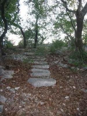 2.5 acres in Medina County - photo 13