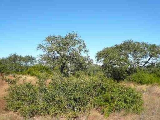 2.5 acres in Medina County featured view