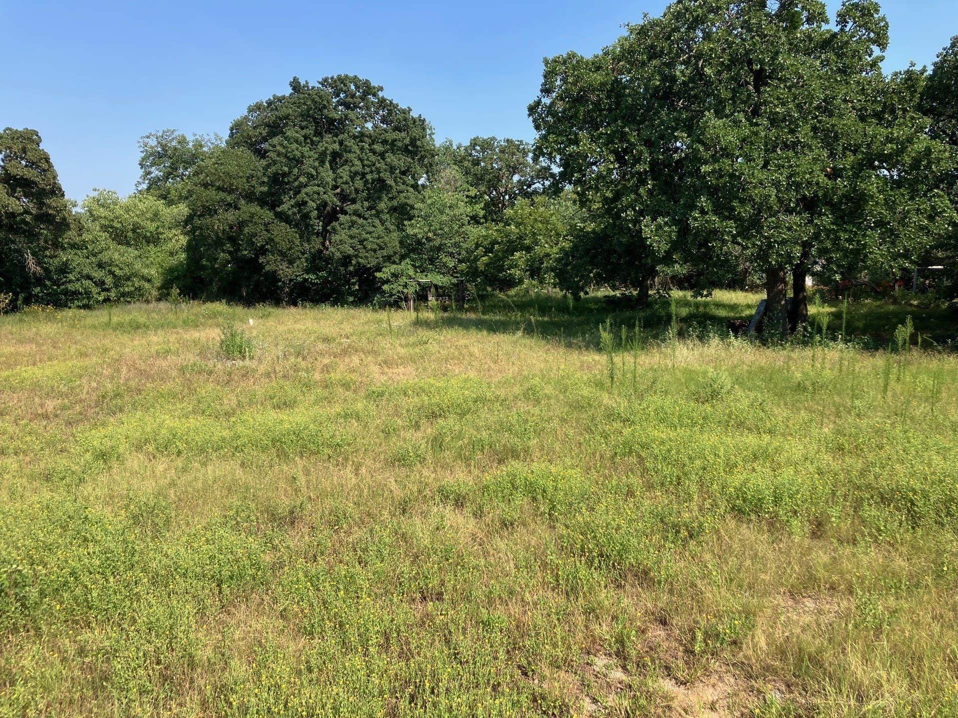 0.52 acres in Comanche County gallery image 2