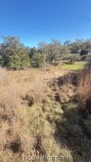 0.27 acres in Burleson County - photo 6