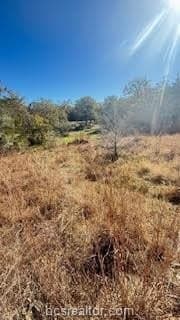 0.27 acres in Burleson County - photo 5