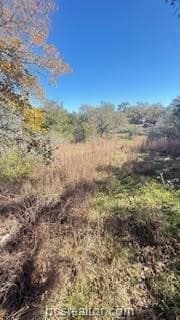 0.27 acres in Burleson County - photo 7