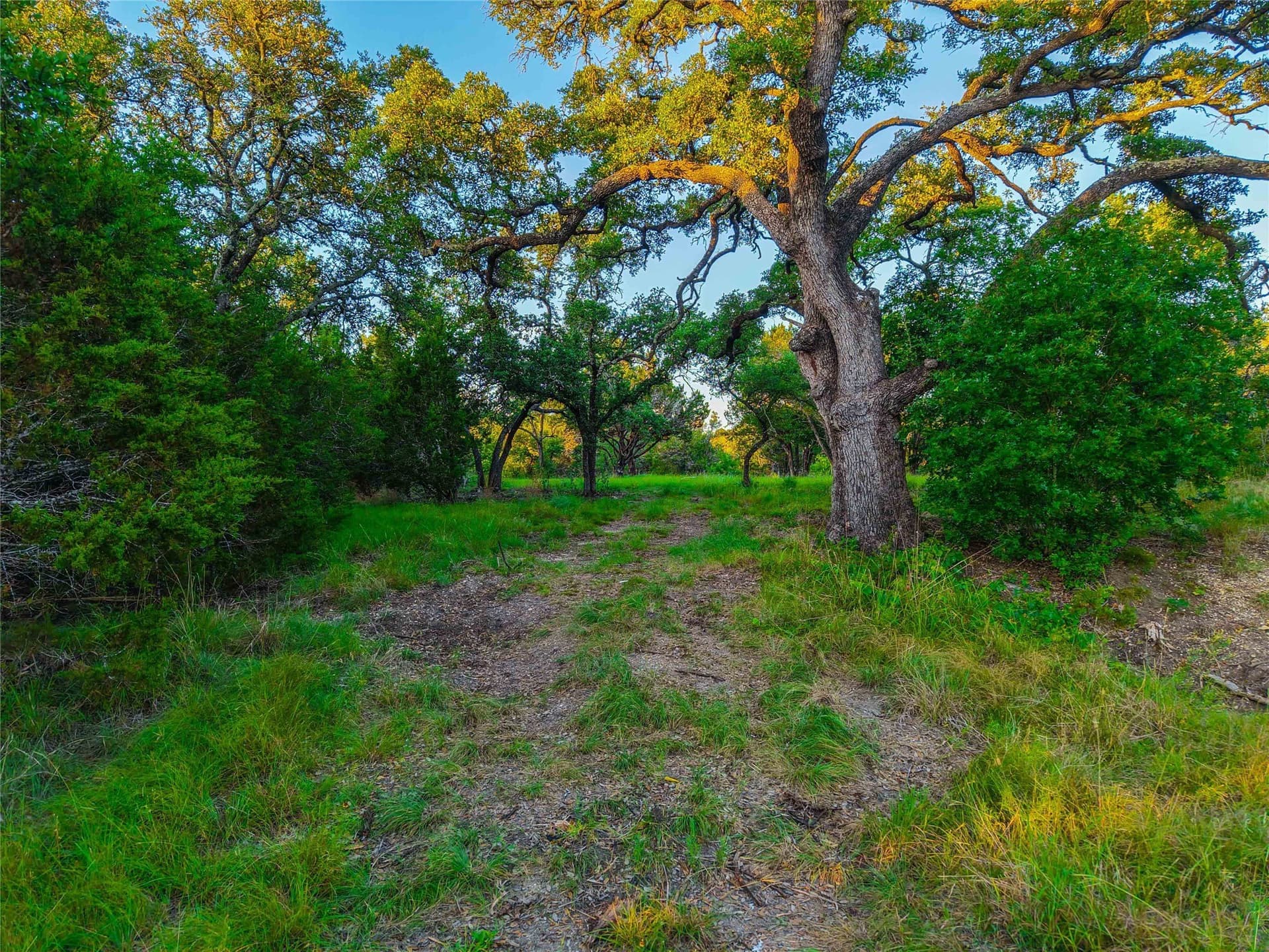 20.44 acres in Hamilton County - photo 6