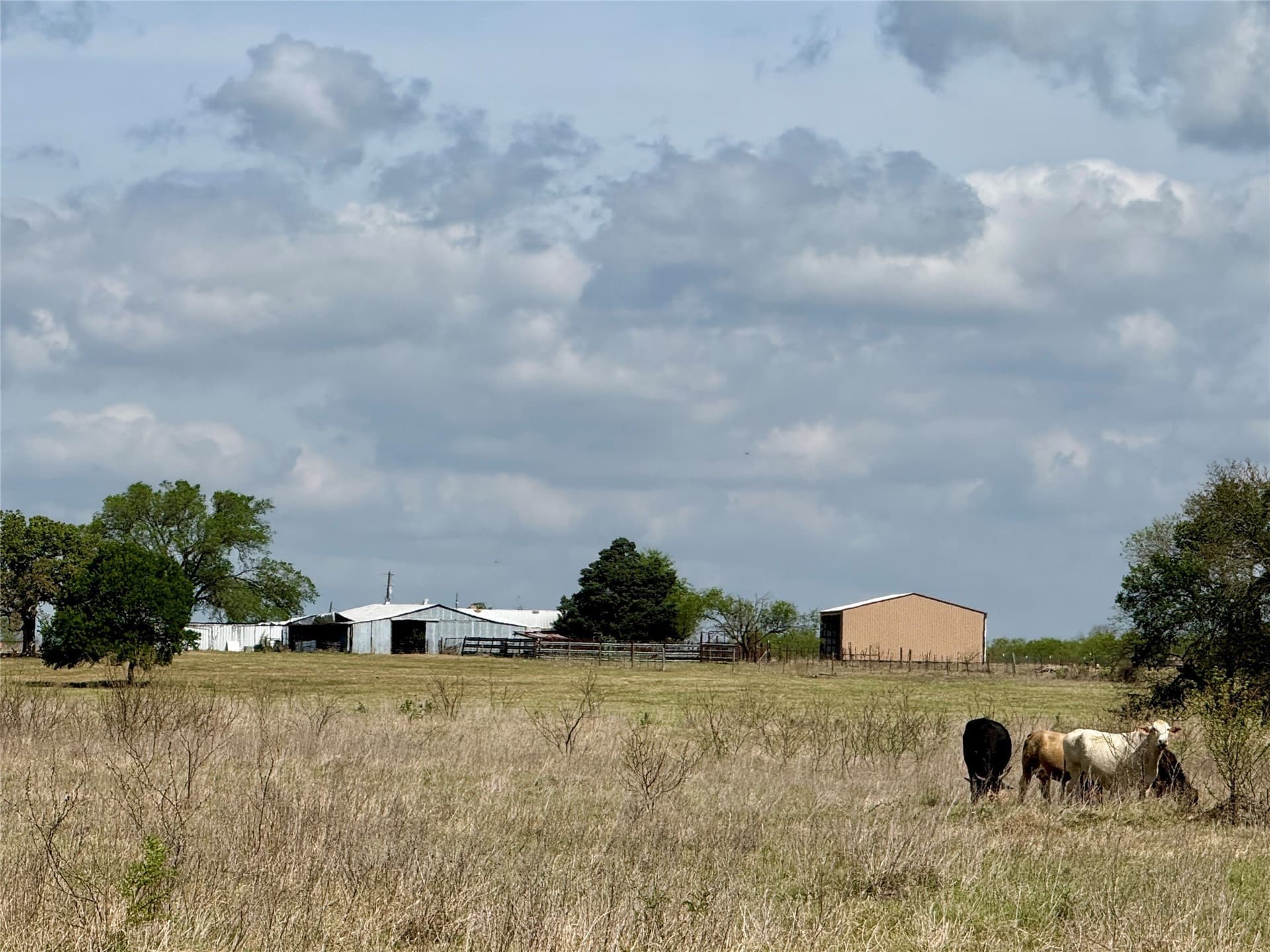 137.39 acres in Navarro County - photo 37