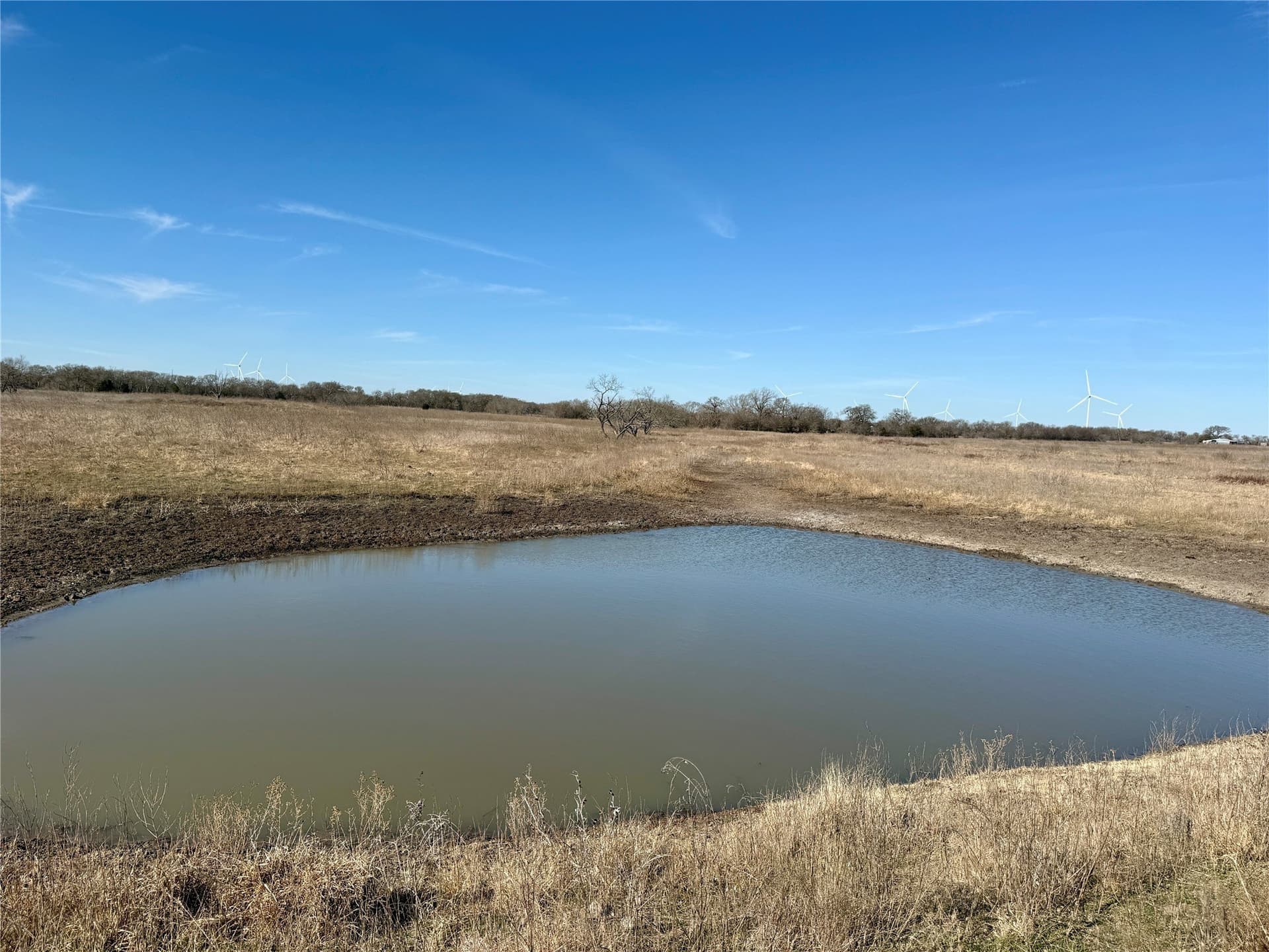 137.39 acres in Navarro County - photo 6