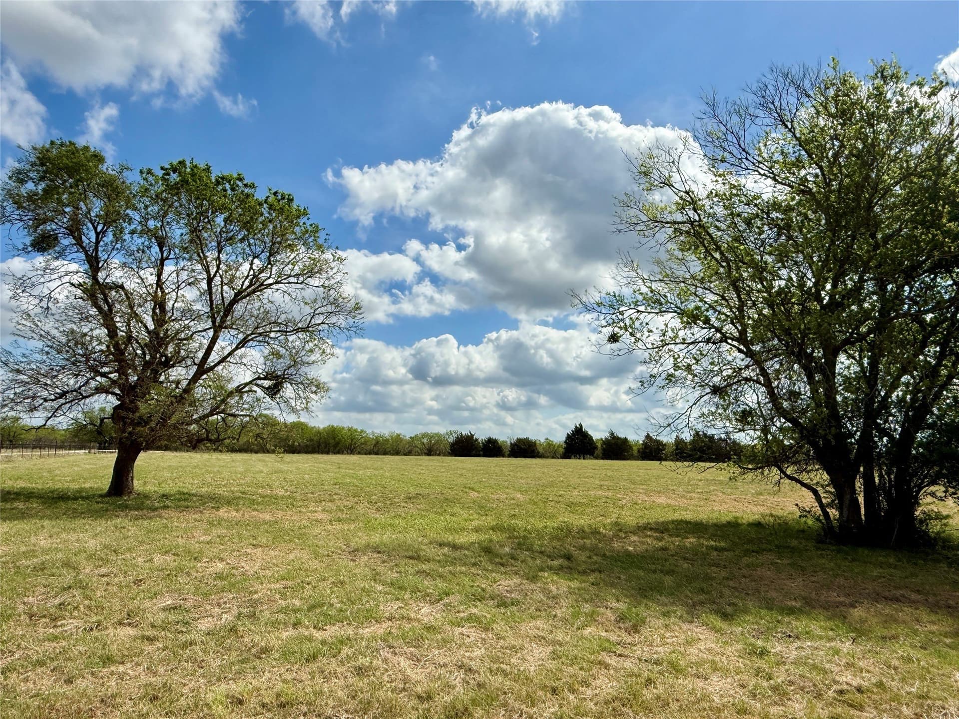 137.39 acres in Navarro County - photo 29