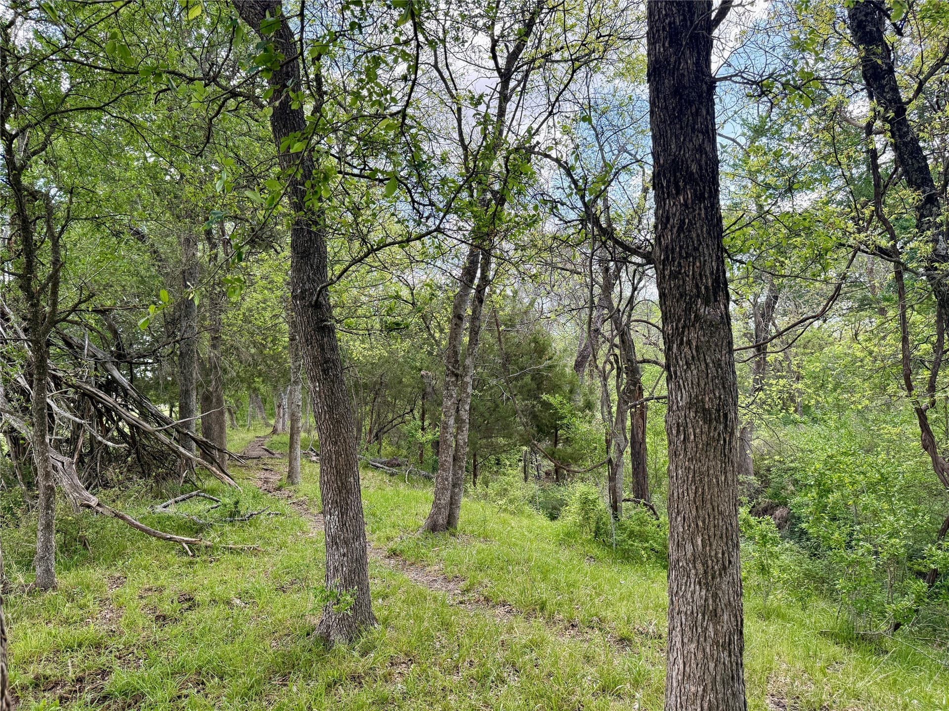 137.39 acres in Navarro County - photo 33