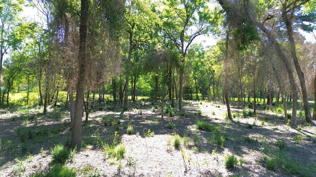 4 acres in Texas County - photo 14