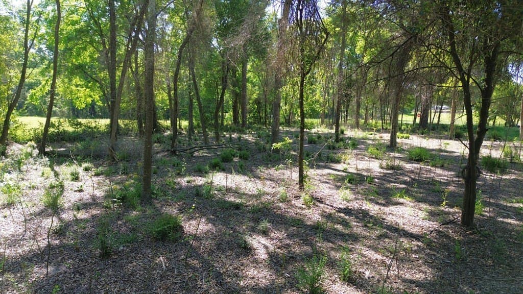 4 acres in Texas County - photo 12