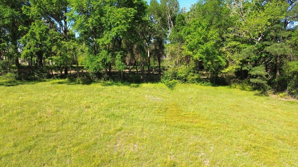 4 acres in Texas County - photo 7