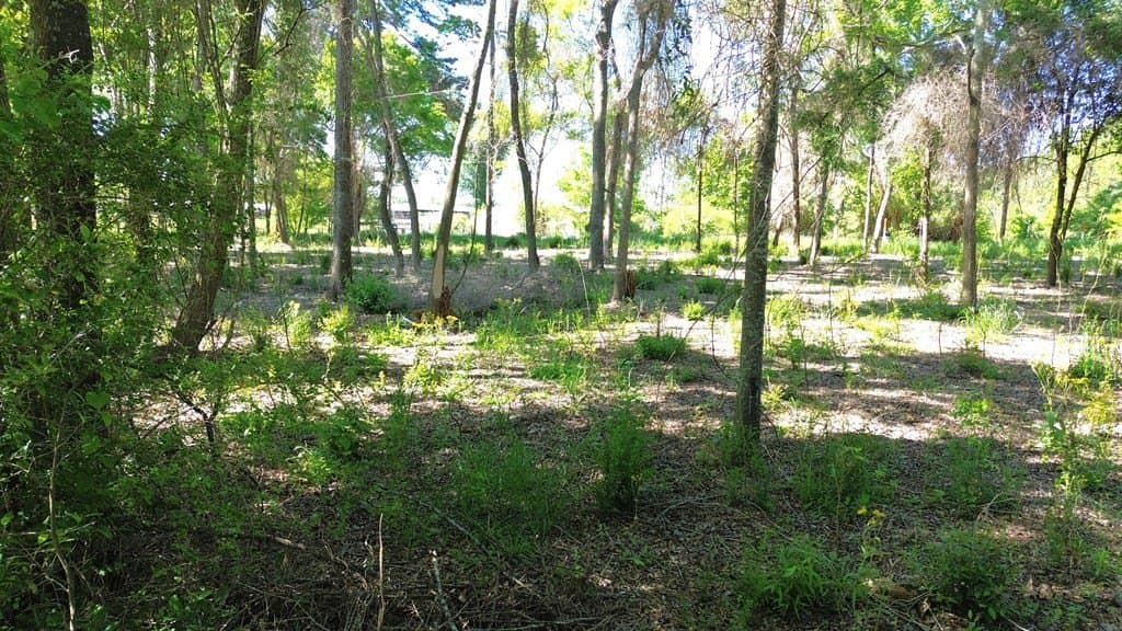4 acres in Texas County - photo 13