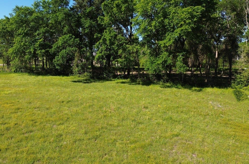 4 acres in Texas County - photo 6