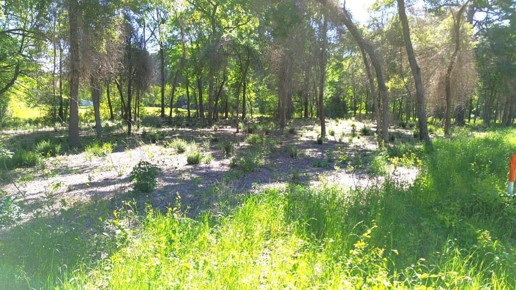 4 acres in Texas County - photo 11