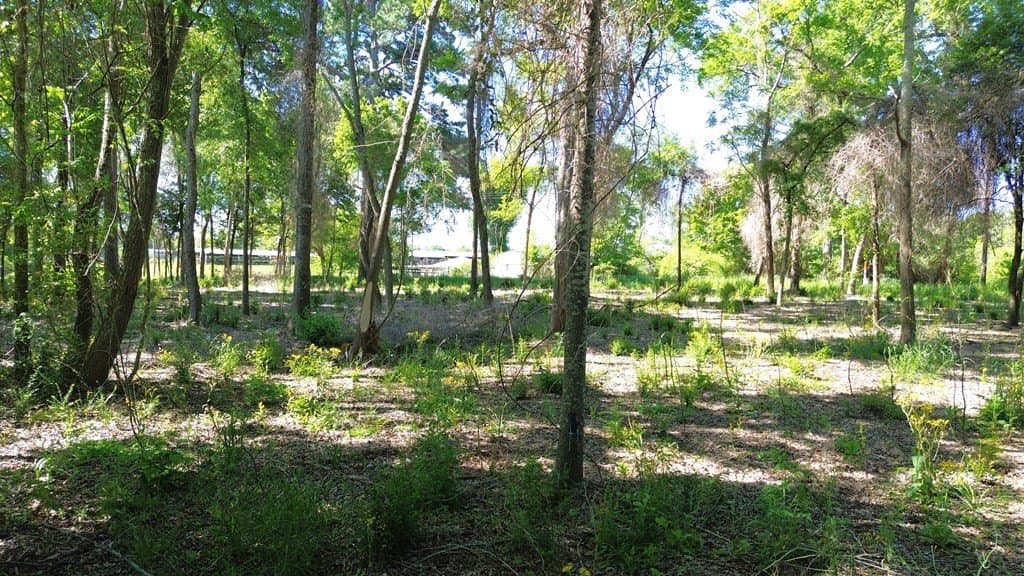 4 acres in Texas County - photo 10