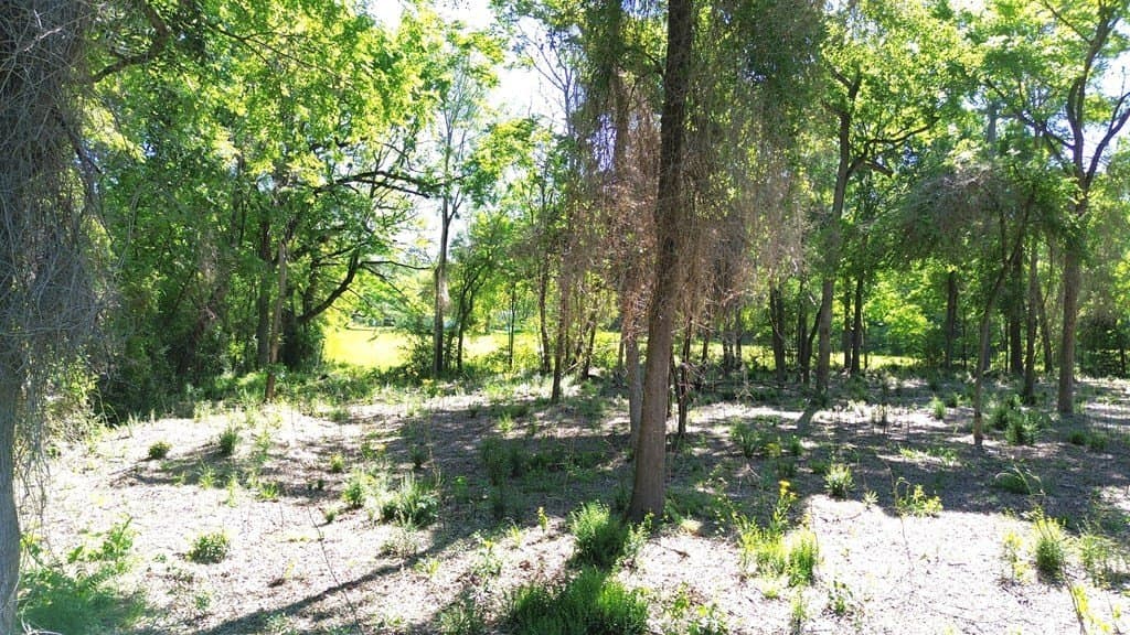 4 acres in Texas County - photo 15
