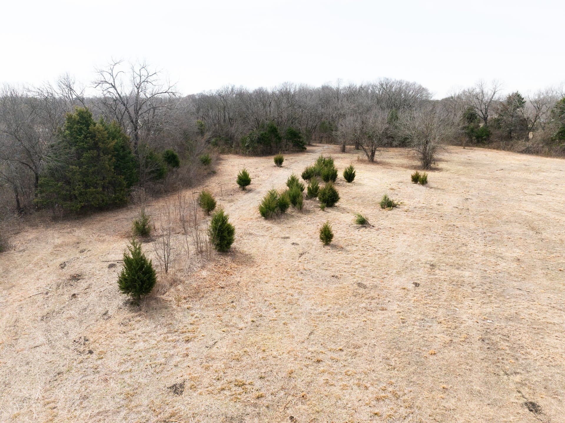 5.91 acres in Dallas County - photo 16