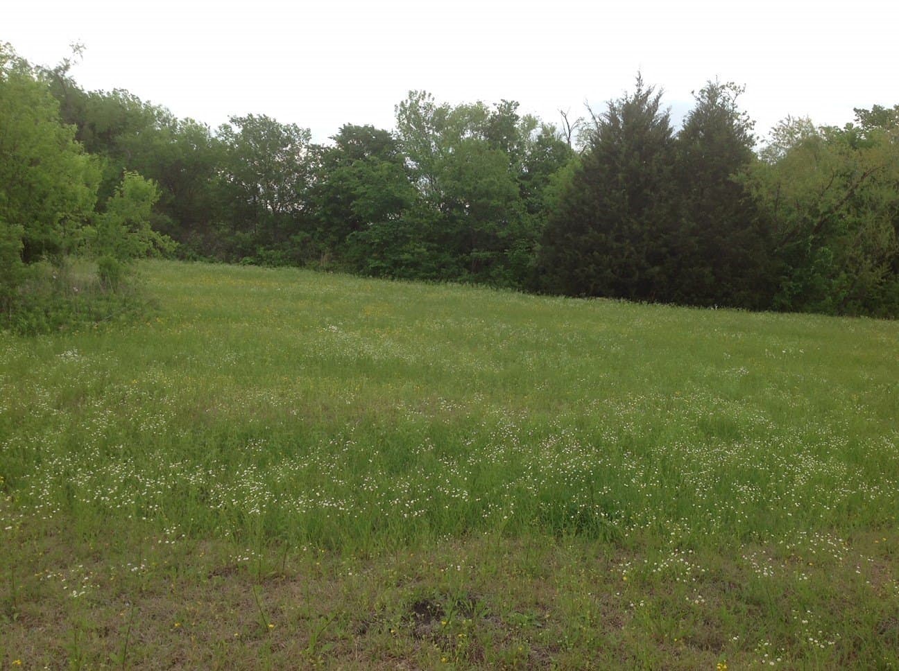 5.91 acres in Dallas County - photo 21