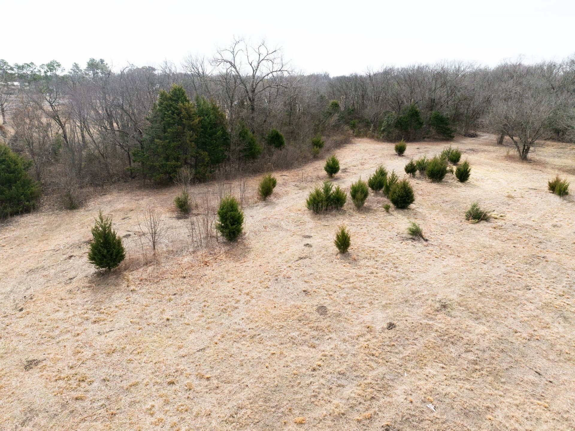 5.91 acres in Dallas County - photo 17