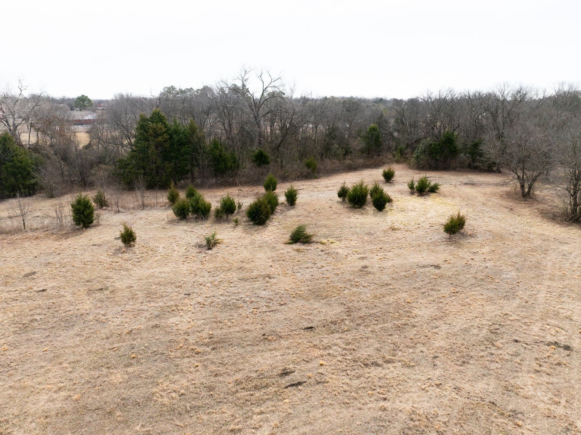 5.91 acres in Dallas County - photo 18