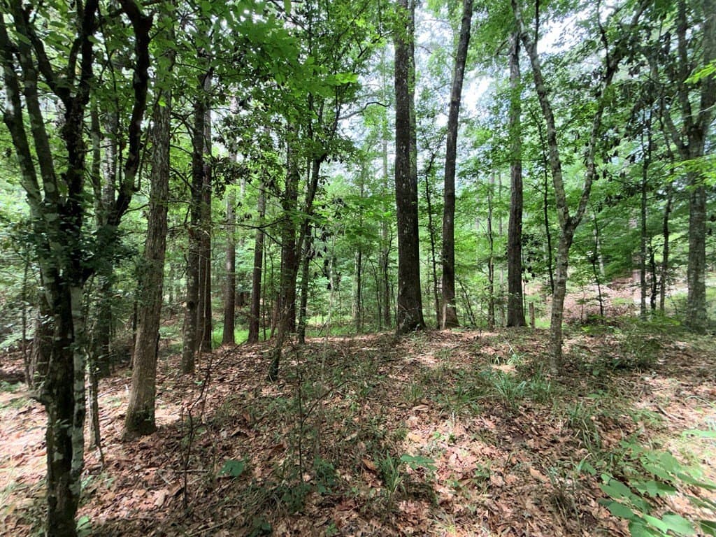 70.79 acres in Texas County - photo 11