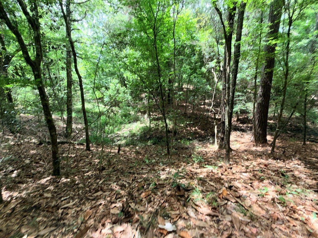 70.79 acres in Texas County - photo 12
