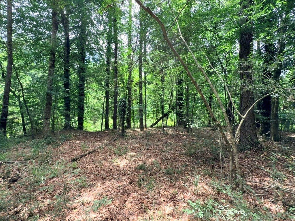 70.79 acres in Texas County - photo 15