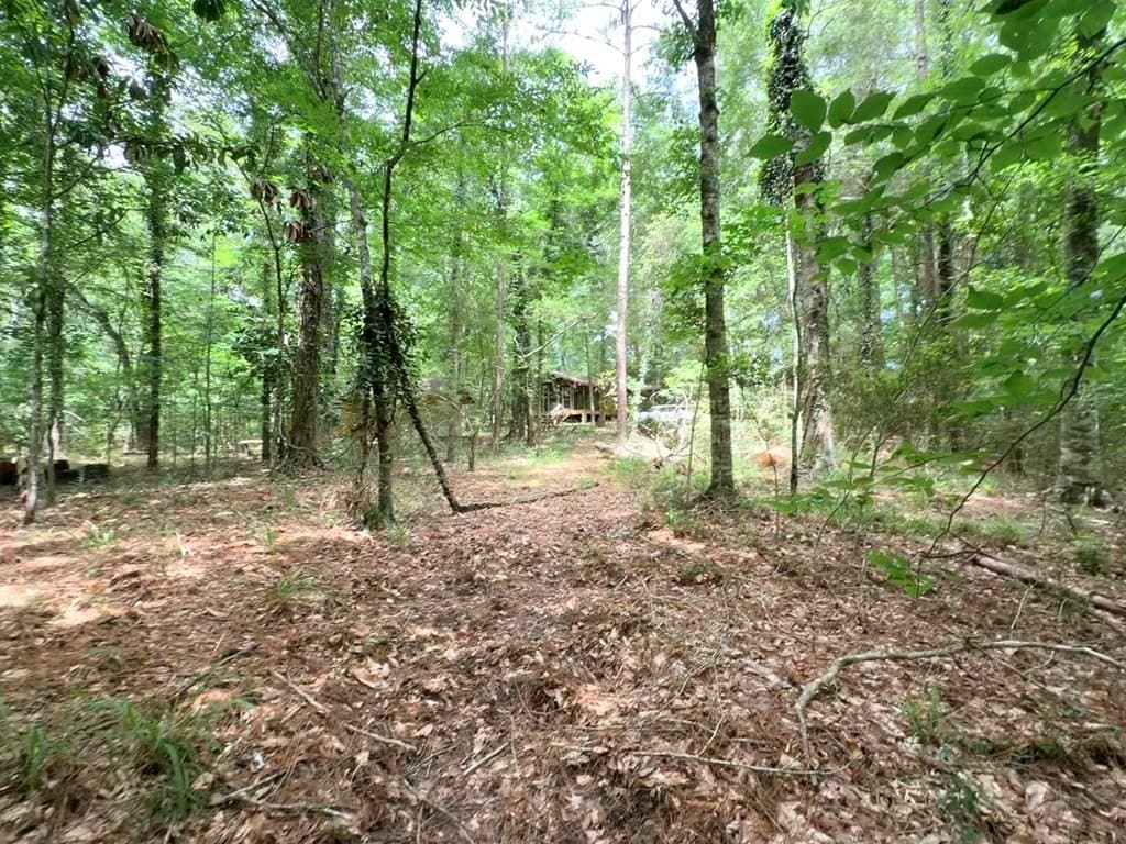 70.79 acres in Texas County - photo 18