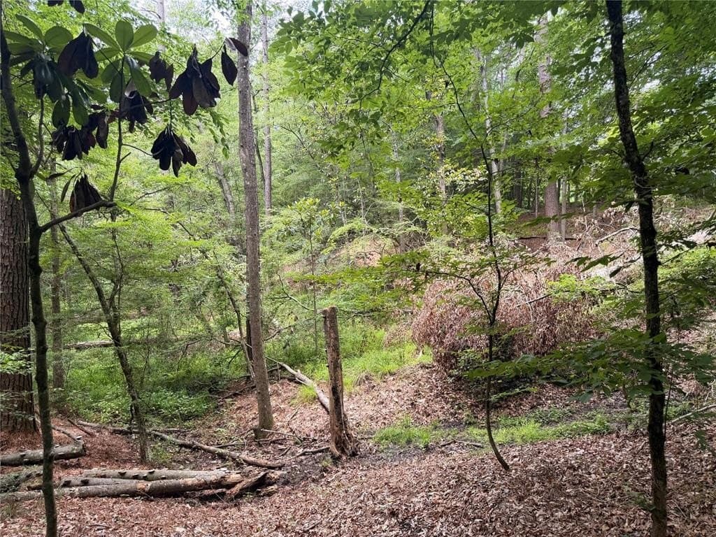70.79 acres in Texas County - photo 24