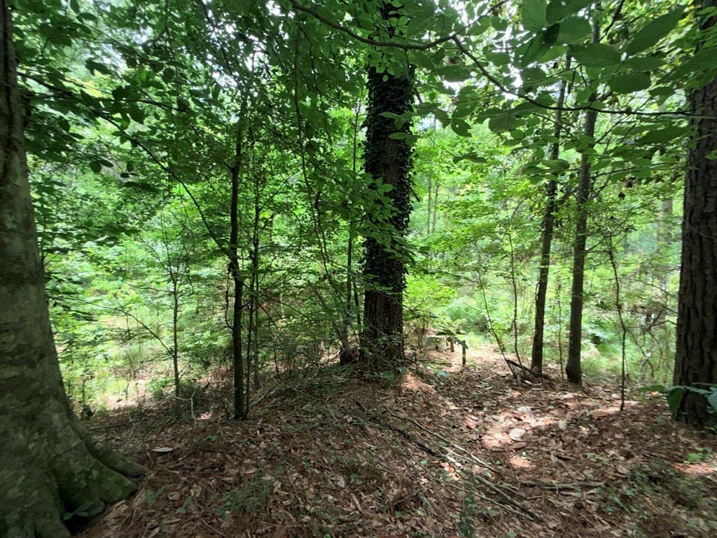 70.79 acres in Texas County - photo 17