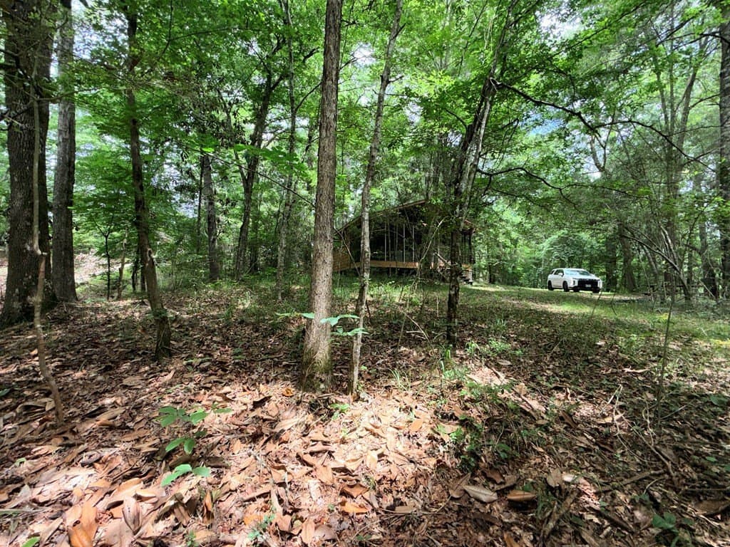 70.79 acres in Texas County - photo 13