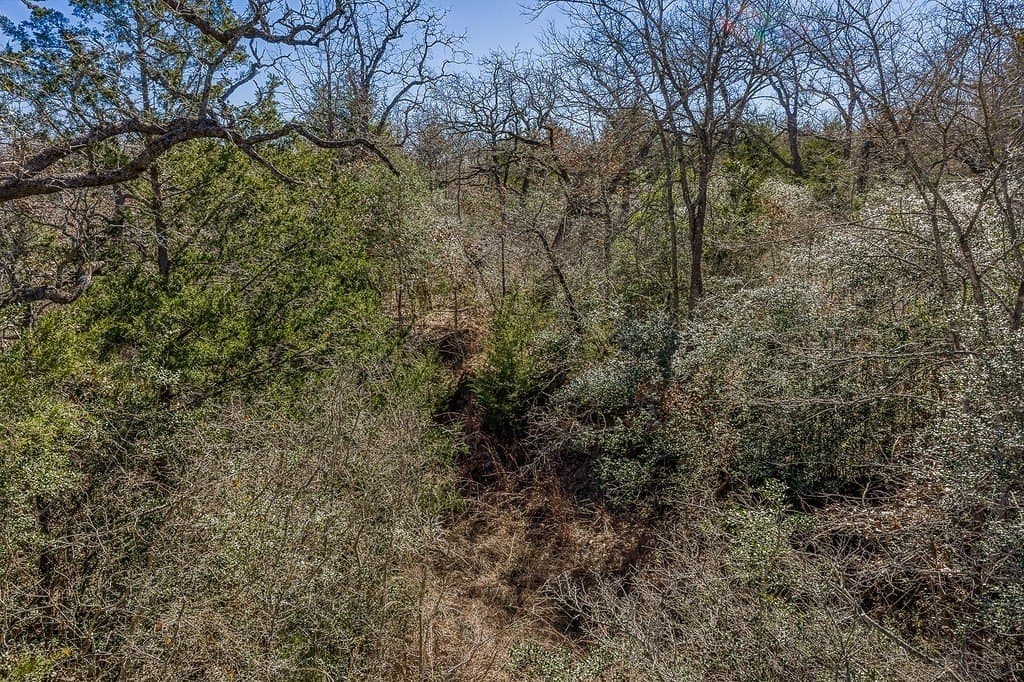 6.28 acres in Burleson County - photo 10