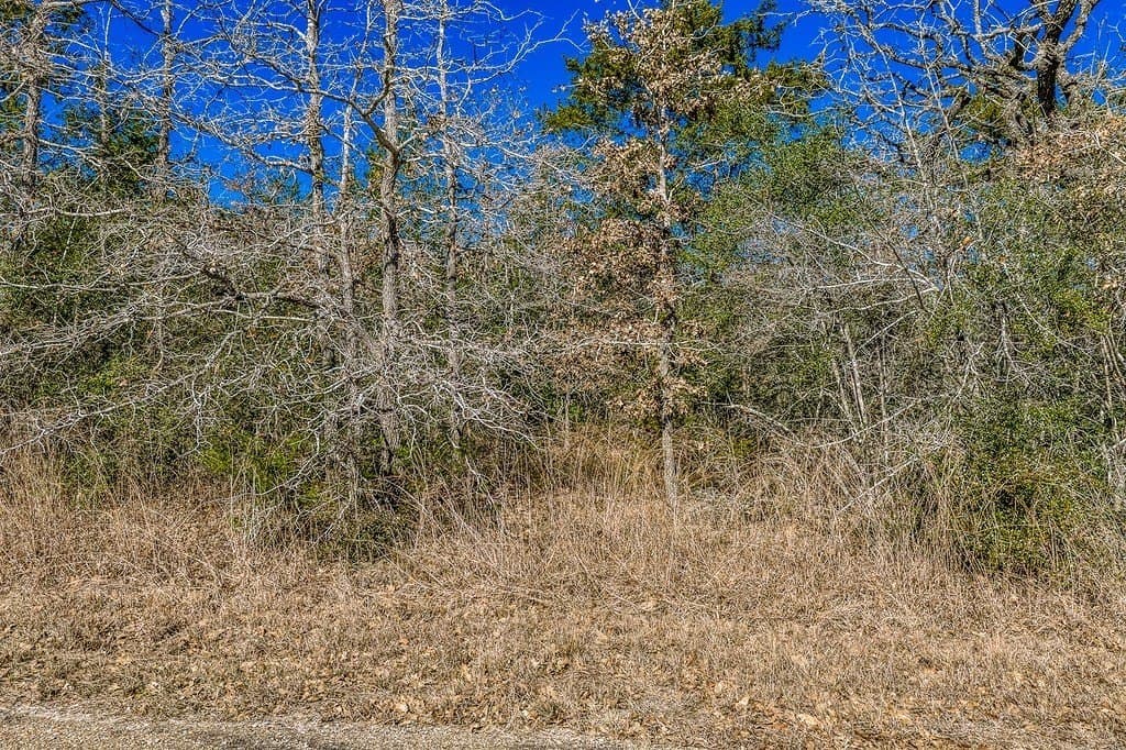 6.28 acres in Burleson County gallery image 3