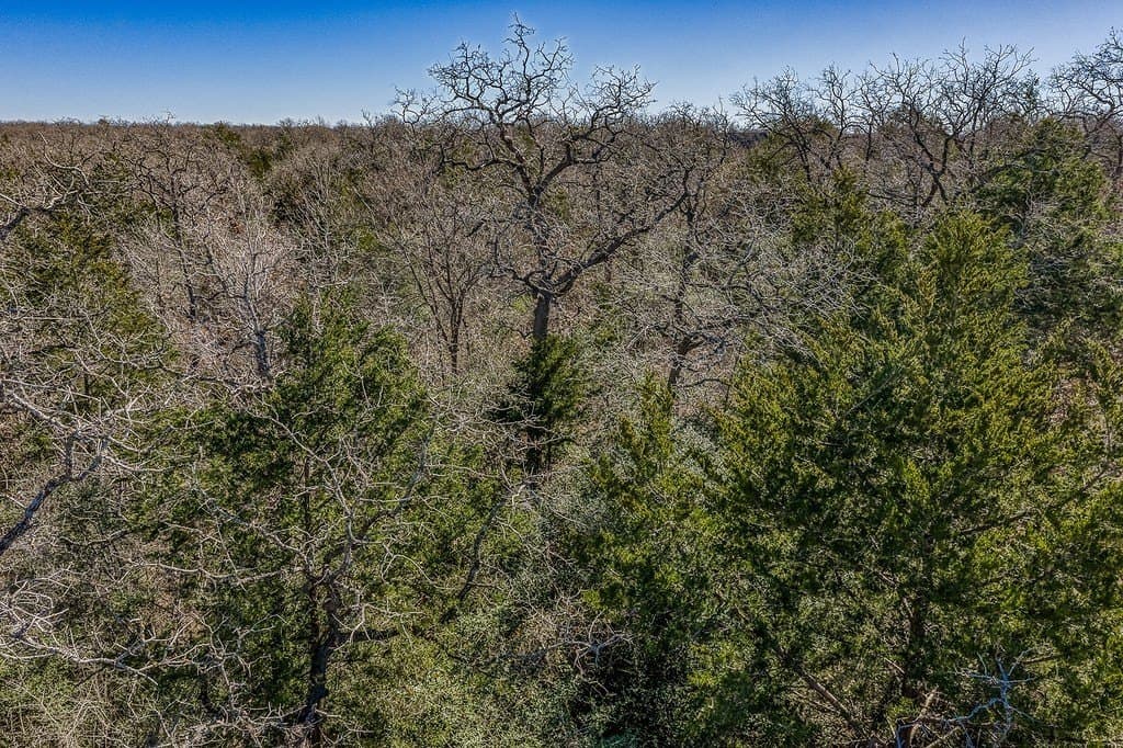 6.28 acres in Burleson County - photo 12