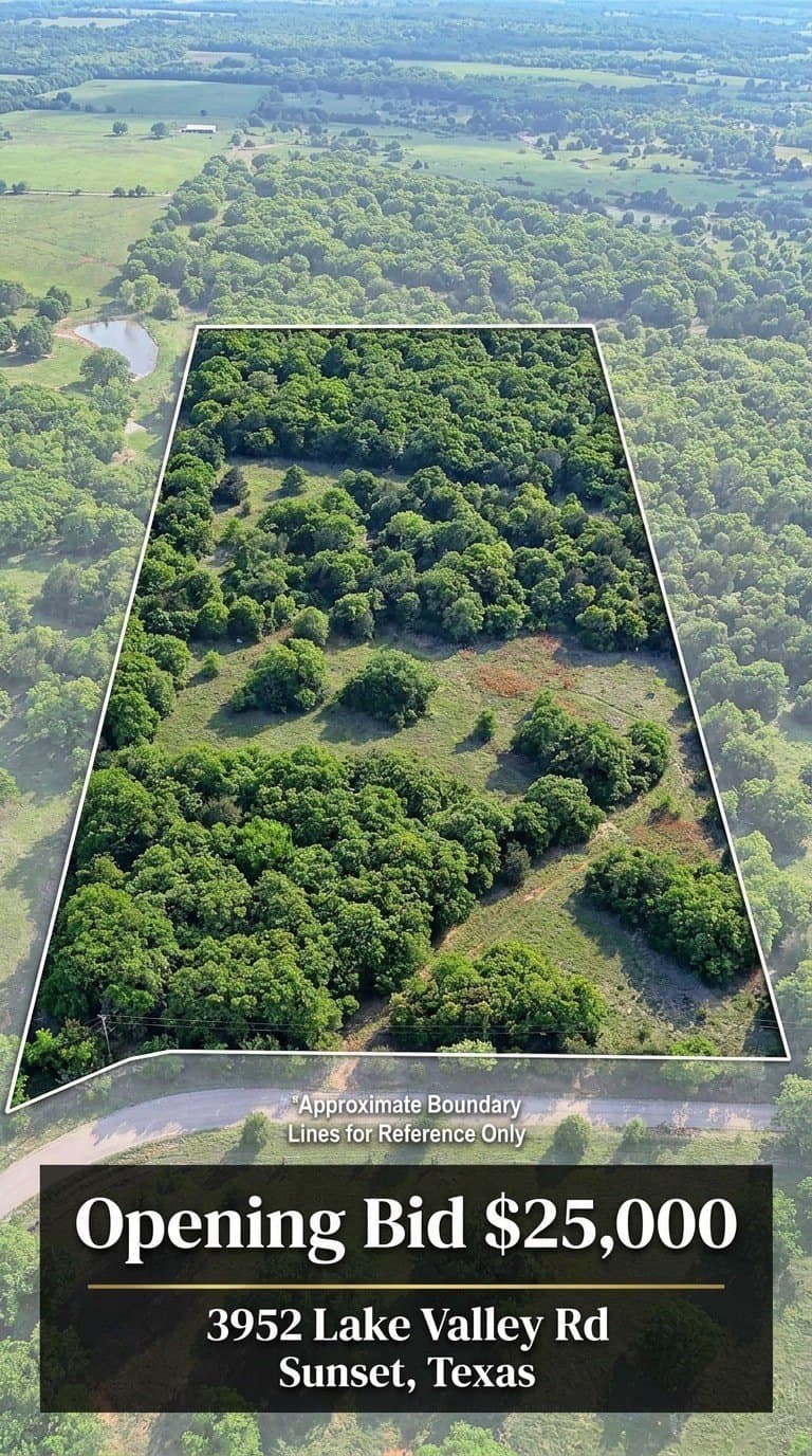 13.34 acres in Montague County - photo 4