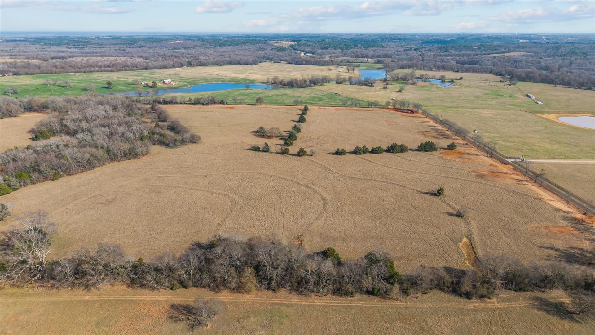 13.2 acres in Smith County - photo 3