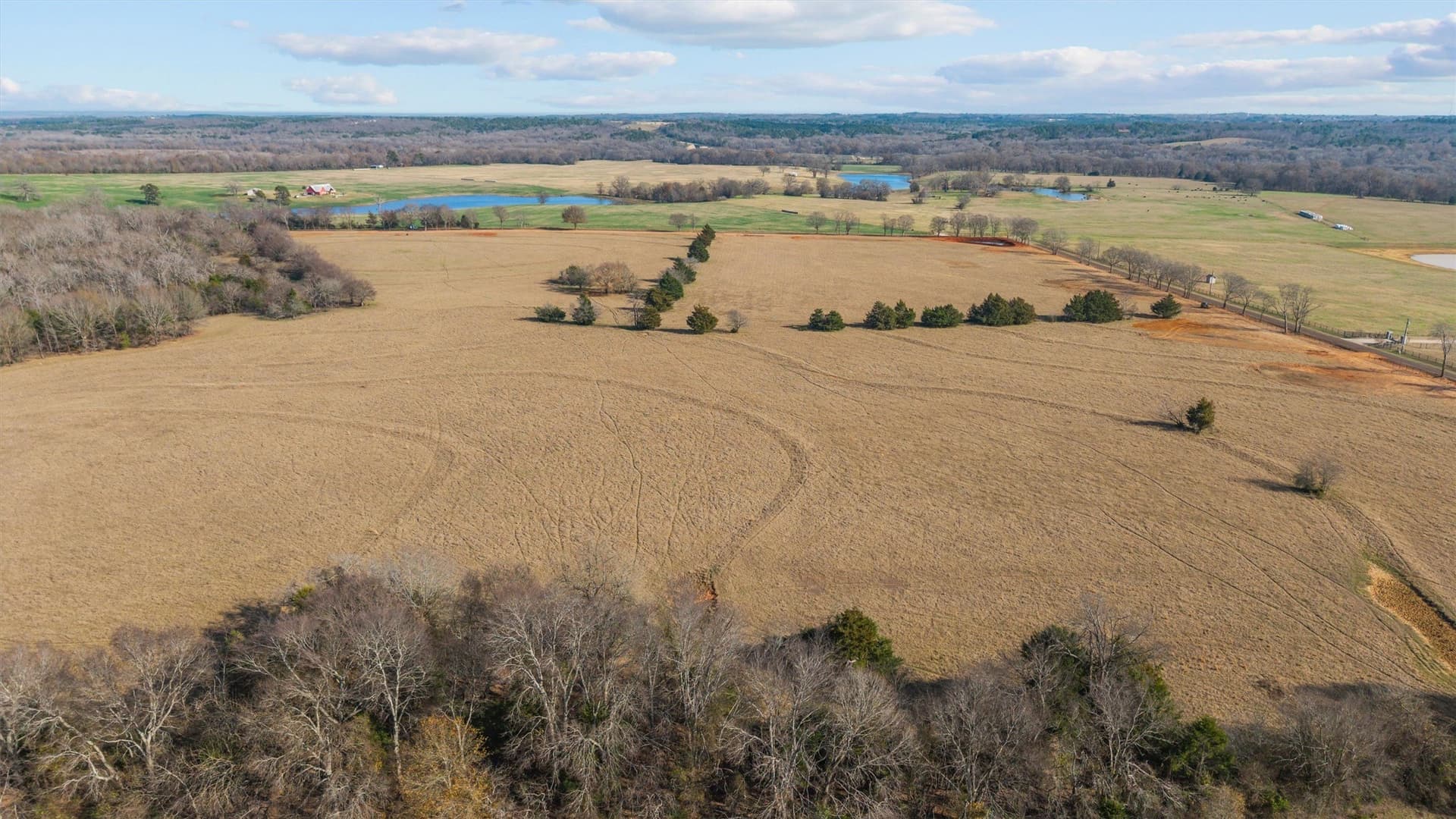 13.2 acres in Smith County - photo 11