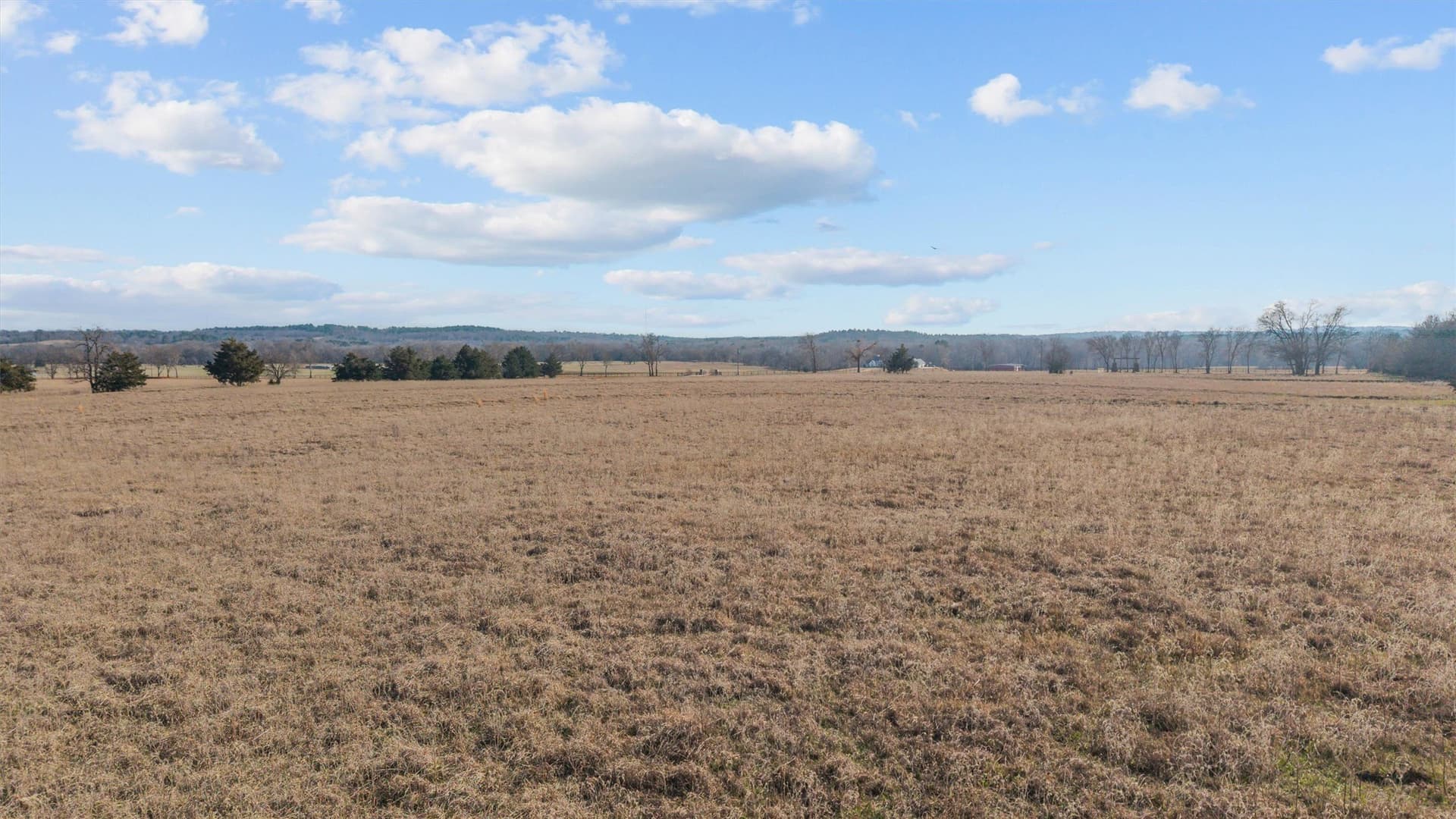 13.2 acres in Smith County - photo 18