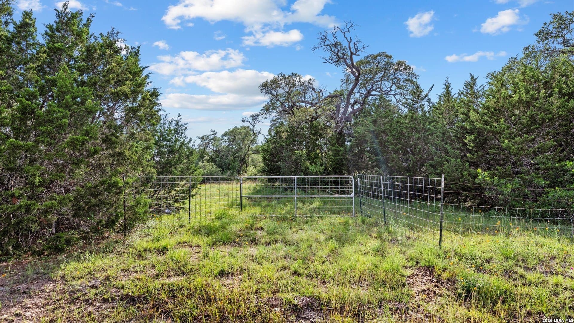 3.02 acres in Bexar County - photo 8