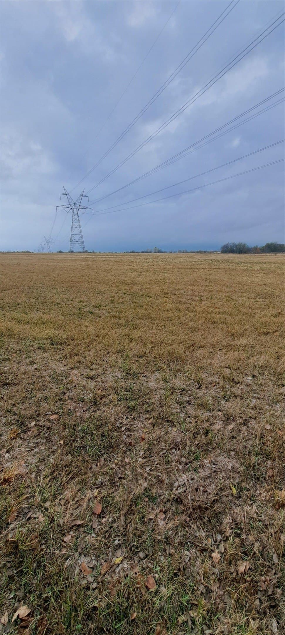 11 acres in Hunt County gallery image 4