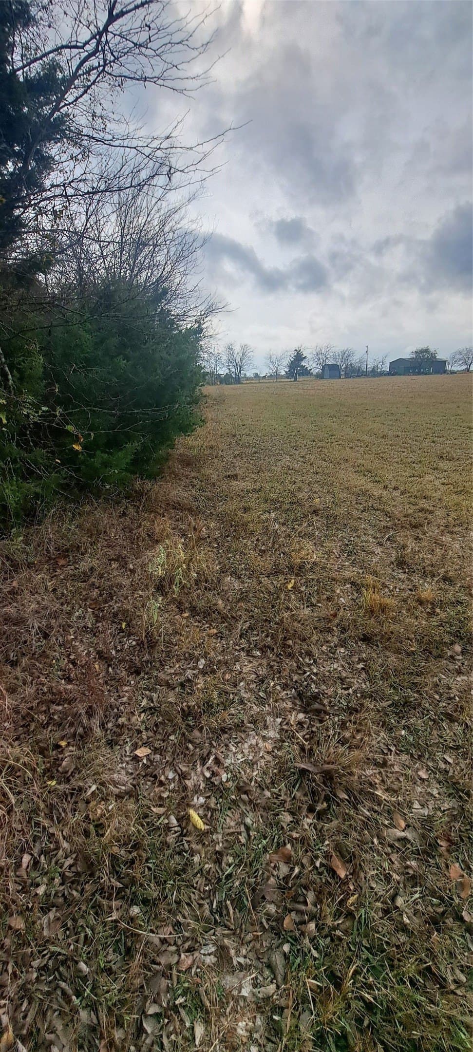 11 acres in Hunt County gallery image 2
