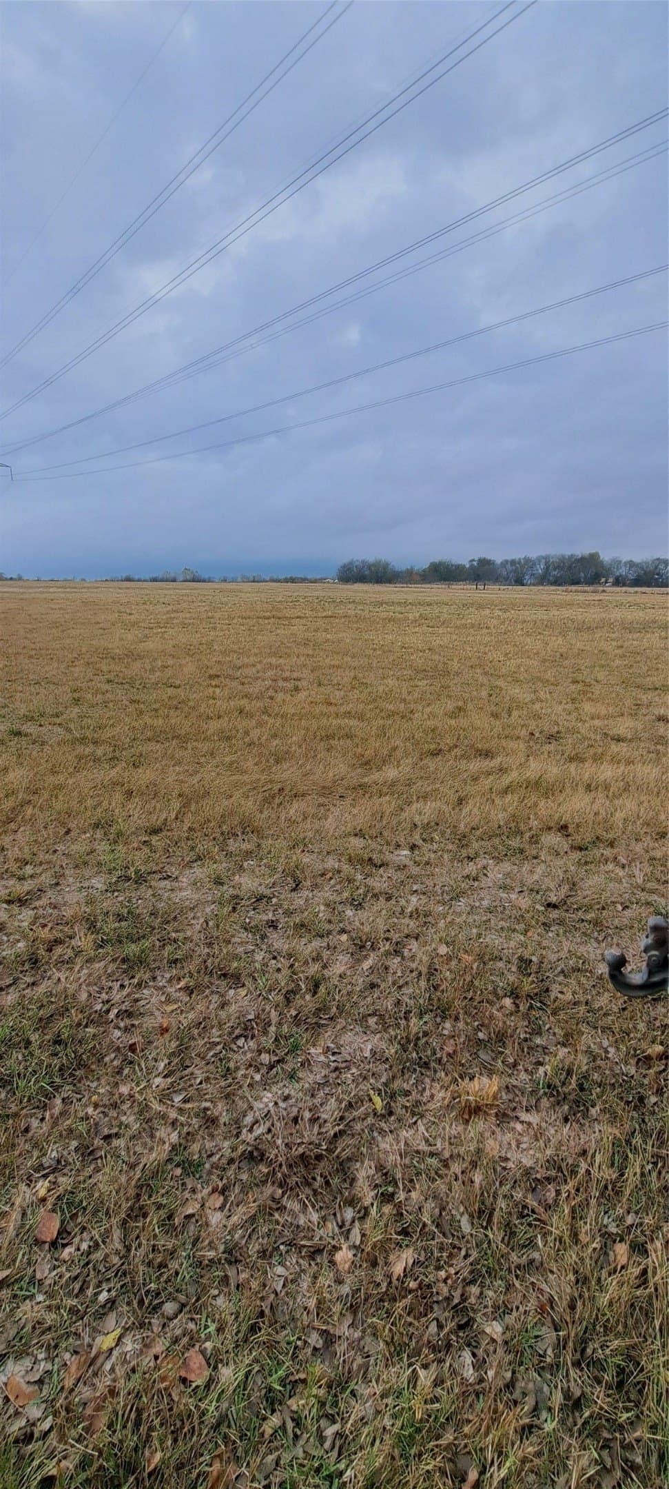 11 acres in Hunt County gallery image 3
