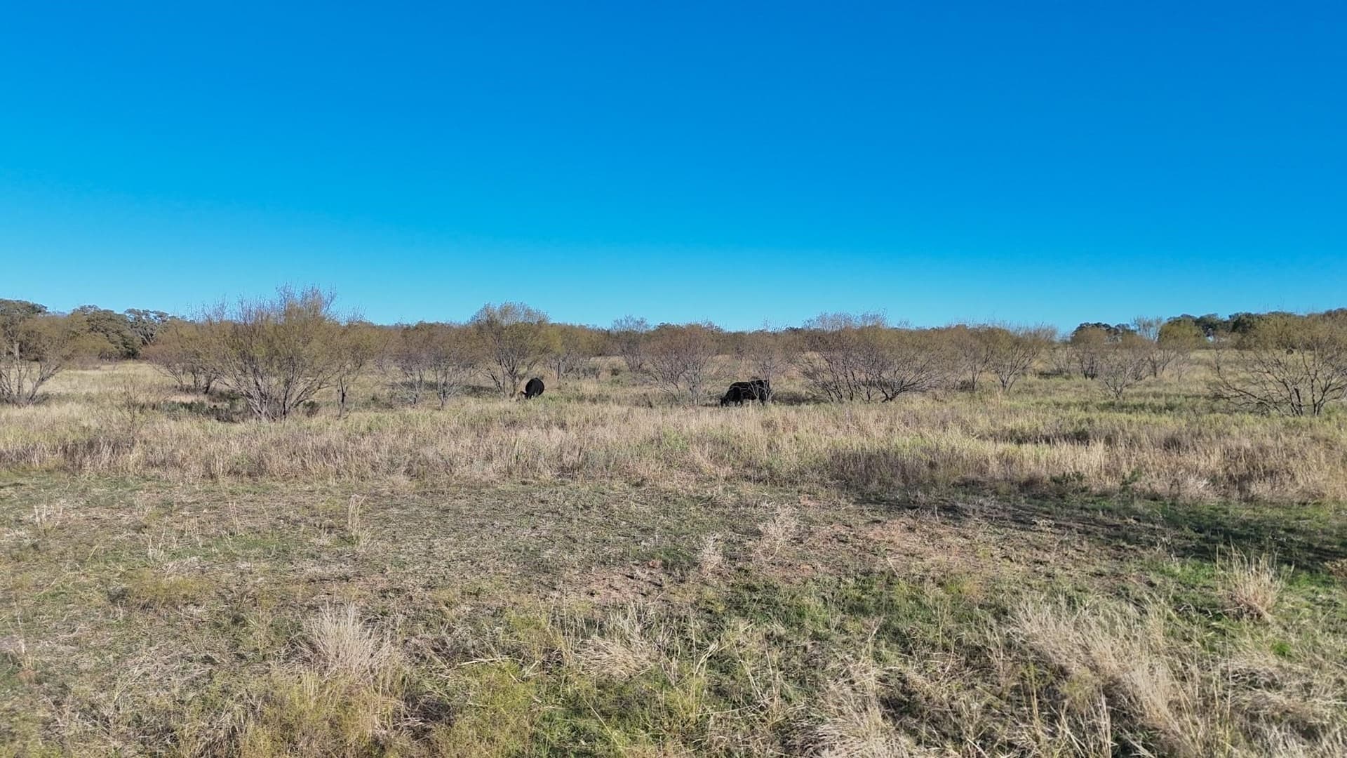 4.96 acres in Palo Pinto County - photo 7