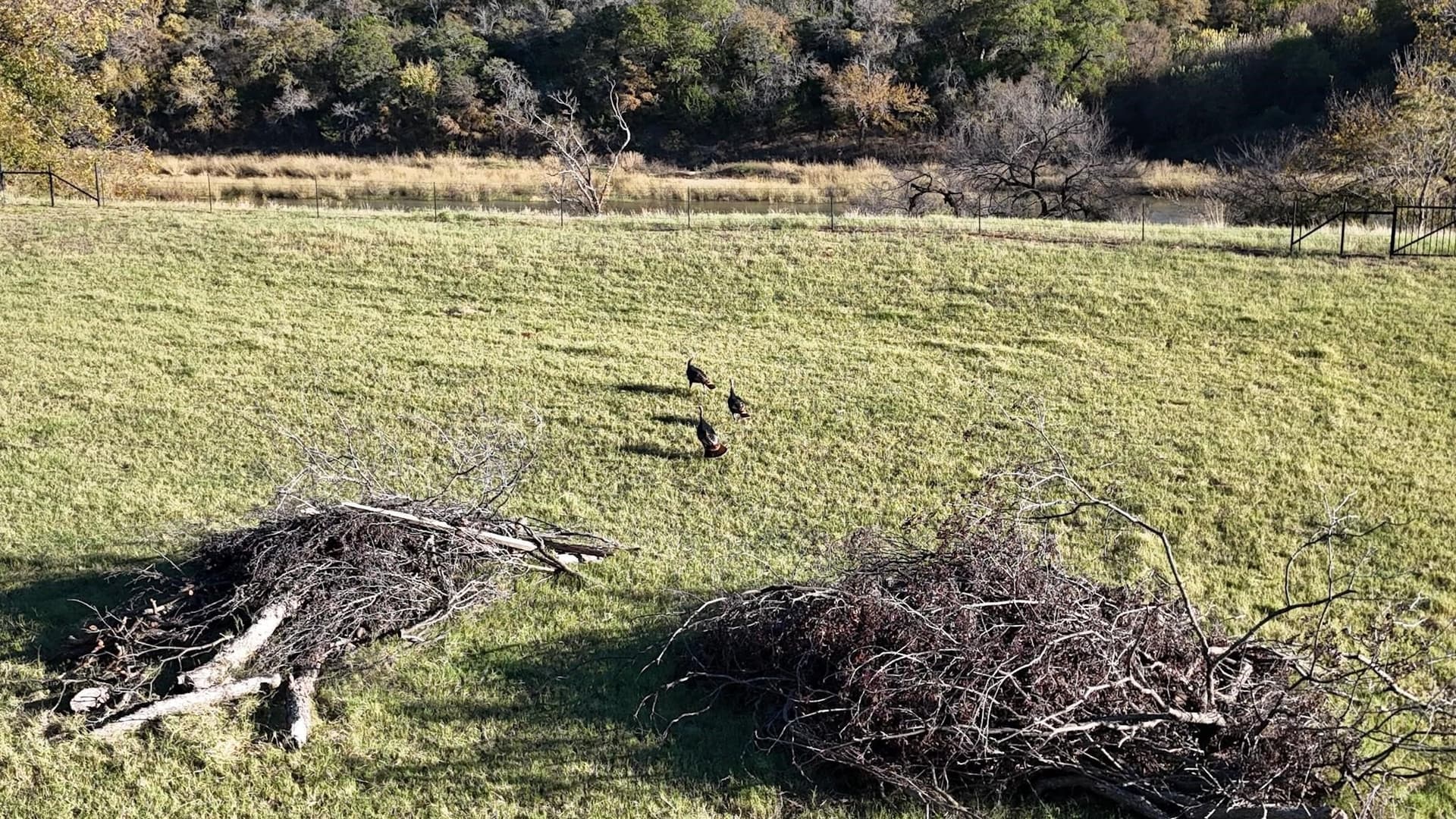 4.96 acres in Palo Pinto County - photo 18