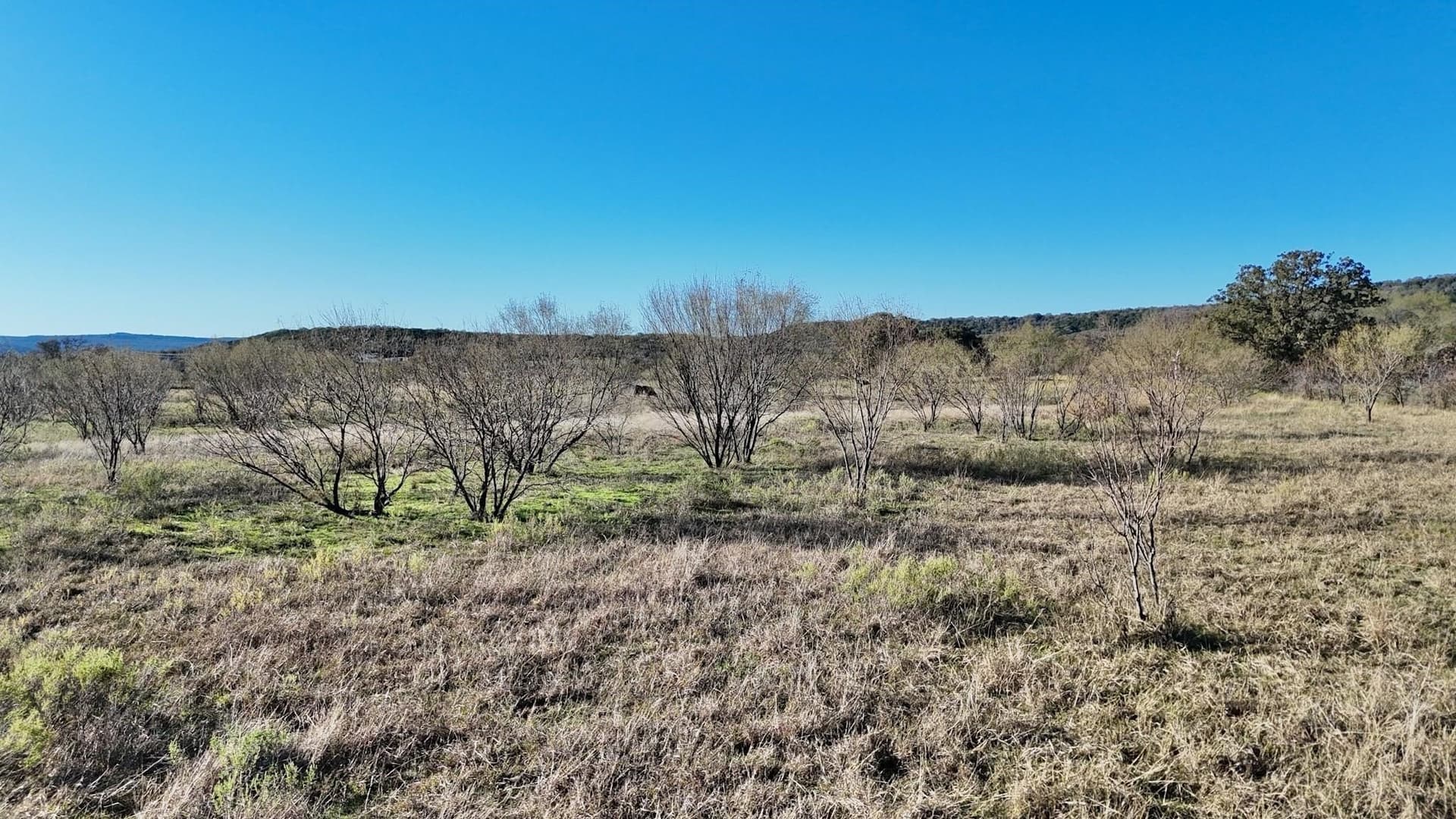 4.96 acres in Palo Pinto County - photo 14